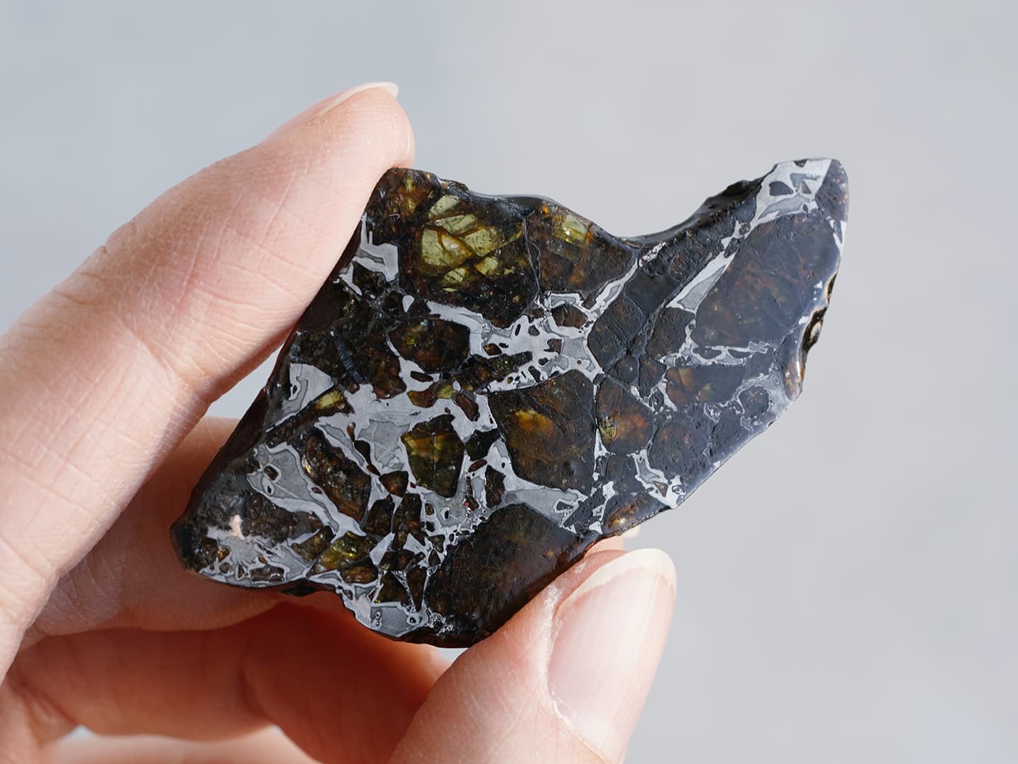 Pallasitic peridot 10.2g /ペリドット（隕石） | Hariqua