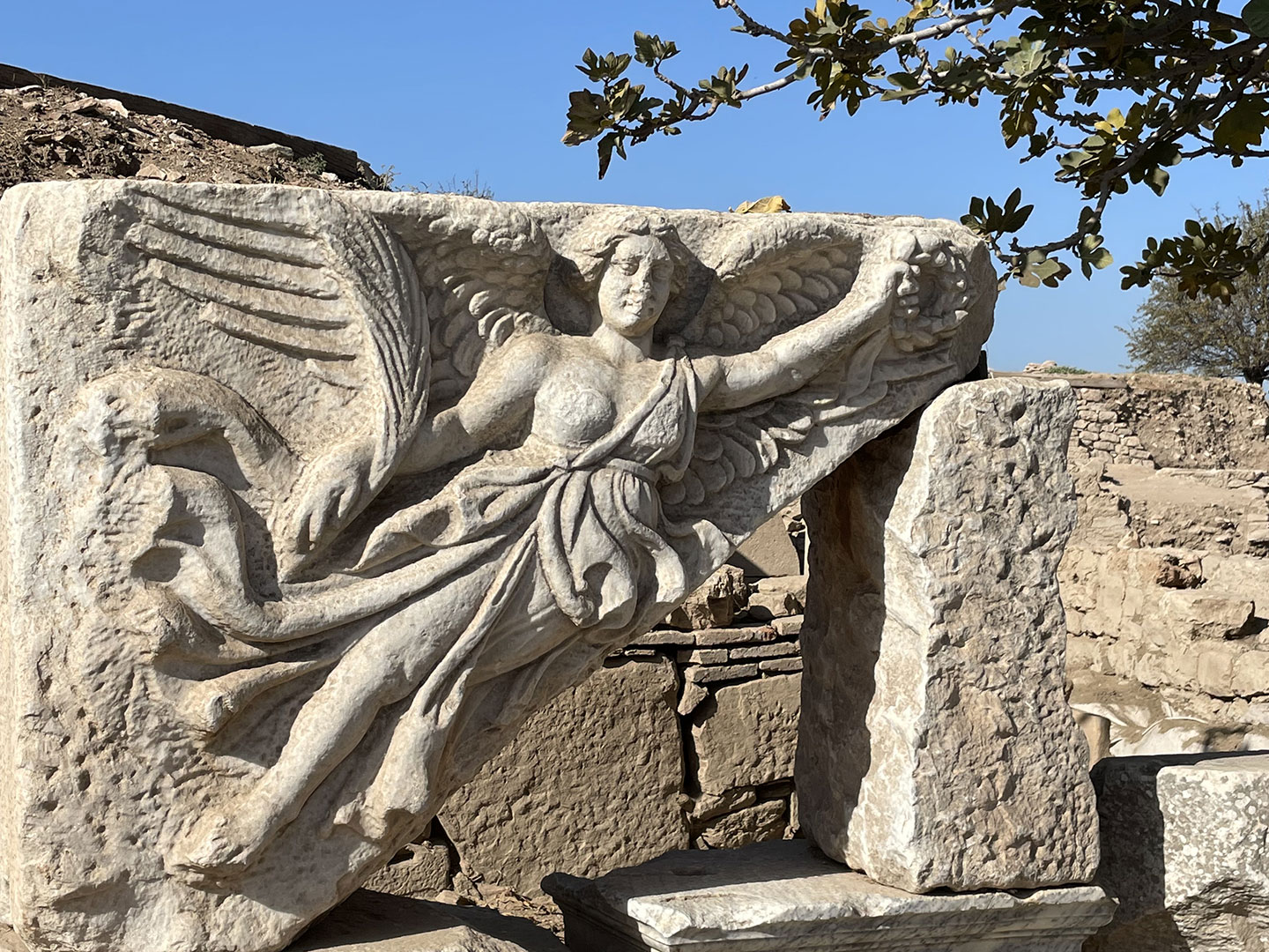 Diaspore Ephesus pierce /ダイアスポア.